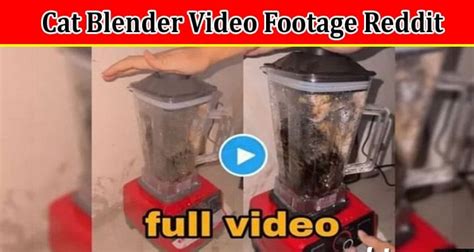 twitter cat blender|Animal abuse videos go viral on Twitter, raising concerns